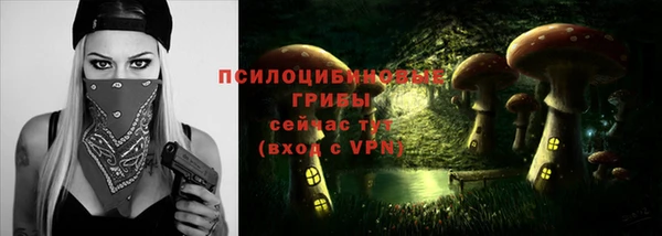 не бодяженный Алексин