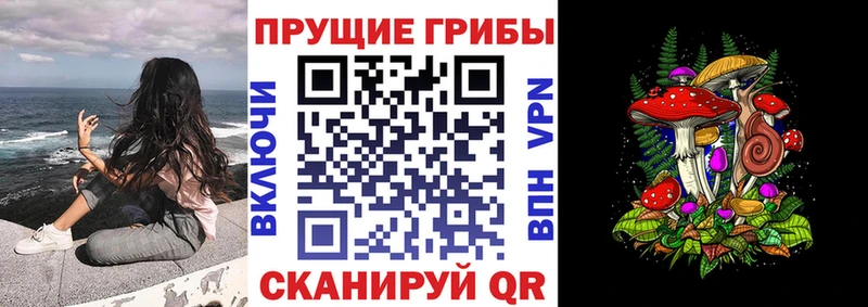 Галлюциногенные грибы Cubensis Набережные Челны
